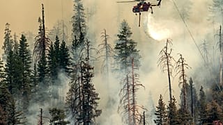 Вертолет сбрасывает воду на деревья в Йосемитском национальном парке. Калифорния, США. 9 июля 2022