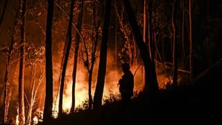 A Portuguese firefighter battles a wildfire at Casais do Vento in Alvaiazere.