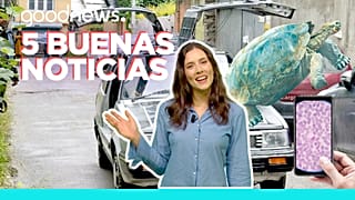 5 buenas noticias