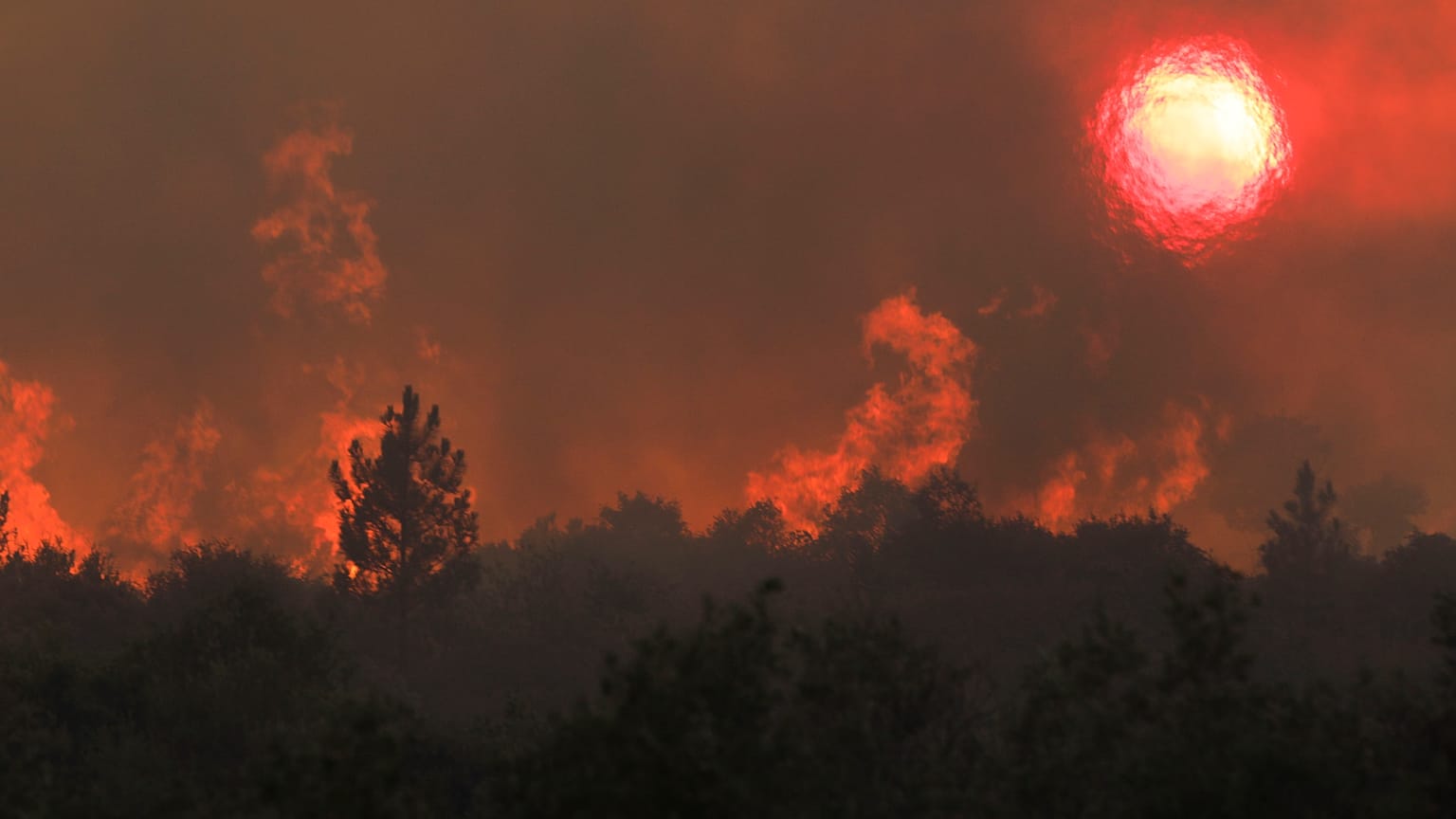 Incêndio em Quebrada de Baixo, freguesia de Freixianda, concelho de Ourém, Portugal