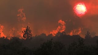 Incêndio em Quebrada de Baixo, freguesia de Freixianda, concelho de Ourém, Portugal