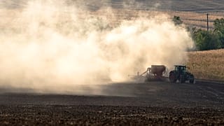 A seca na Roménia resultará numa produção menor de cereais.