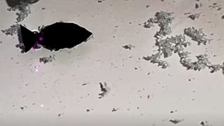 ماهی رباتیک پلاستیک‌خوار