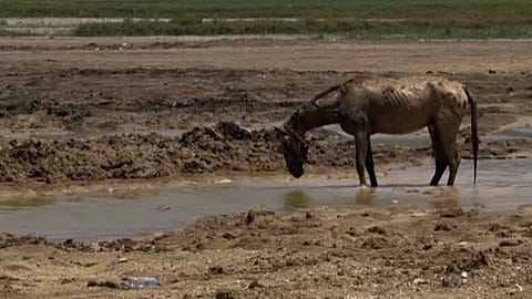 Water levels are dwindling in reservoirs in Nuevo León state, Mexico