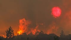 Incêndio em Quebrada de Baixo, freguesia de Freixianda, concelho de Ourém, 09 de julho de 2022