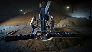 Фермеры сушат зерно в Старобинском районе самопровозглашённой ЛНР, 12 июля 2022 г.