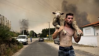 Incendies 