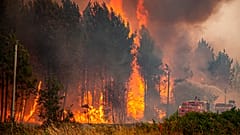 Incendio forestal cerca de Landiras, suroeste de Francia, el miércoles 13 de julio de 2022