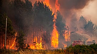 Incendio forestal cerca de Landiras, suroeste de Francia, el miércoles 13 de julio de 2022