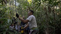 La forêt amazonienne et sa richissime biodiversité sont de plus en plus menacées par la déforestation.