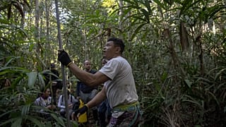 La forêt amazonienne et sa richissime biodiversité sont de plus en plus menacées par la déforestation.
