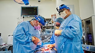 Medicos de NYU Langone Health trabajan con un corazón de cerdo modificado genéticamente en una persona fallecida.
