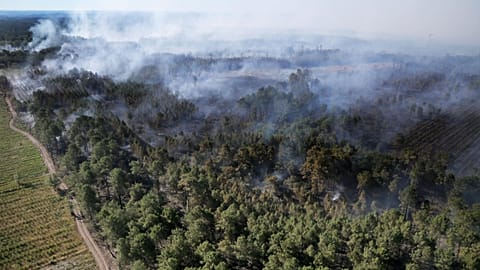 A wildfire burns through vegetation in Landiras, southwestern France, on July 13, 2022.