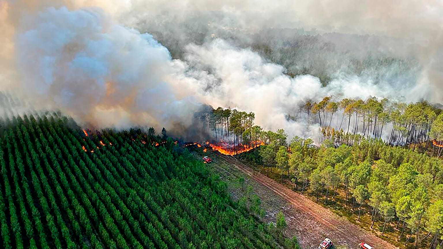 Ein Waldbrand bei Landiras in der Gironde an diesem Mittwoch