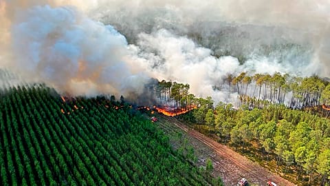 Ein Waldbrand bei Landiras in der Gironde an diesem Mittwoch