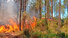 Feuerwehreinsatz in Landiras im Südwesten Frankreichs
