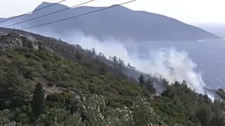 Η φωτιά στη δυτική Σάμο