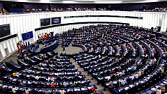 European lawmakers