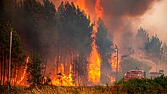 Bombeiros e aviões canadair tentam travar as chamas no sudoeste de França