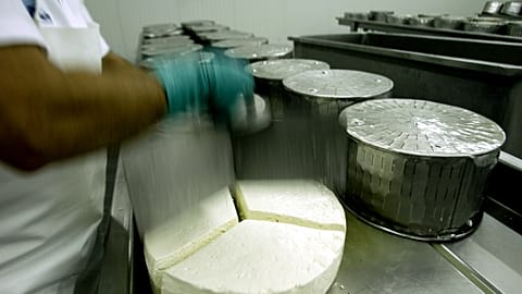 An employee works at a feta factory in Erythres, near Athens.