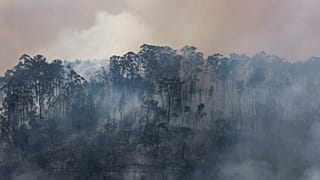 Waldbrand