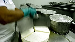 Yunanistan'ın başkenti Atina yakınlarında bir 'Feta' fabrikasında çalışan işçi 