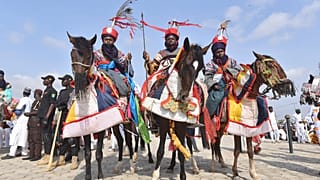 Take a look at Durbar Festival: Niger's most spectacular horse parade 