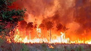 Cette photo fournie vendredi 15 juillet 2022 par les pompiers de la Gironde montre un feu de forêt la veille près de Landiras, dans le sud-ouest de la France.