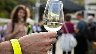 Tokaj-hegyaljai Szüreti Napok, Tokaj, 2021. október 2.
