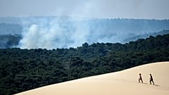 Waldbrand in Südfrankreich