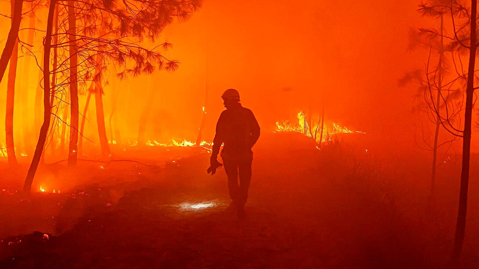 Firefighters fight wildfire near Landiras, southwestern France, Sunday July 17, 2022 .