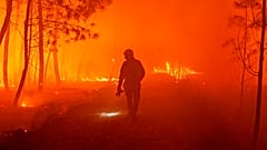Firefighters fight wildfire near Landiras, southwestern France, Sunday July 17, 2022 .