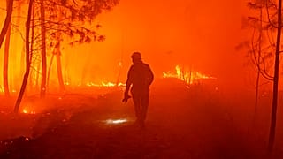 Firefighters fight wildfire near Landiras, southwestern France, Sunday July 17, 2022 .