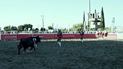 Tourada à portuguesa, na Califórnia