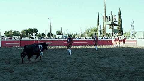 برتغاليون يصارعون الثيران في كاليفورنيا 