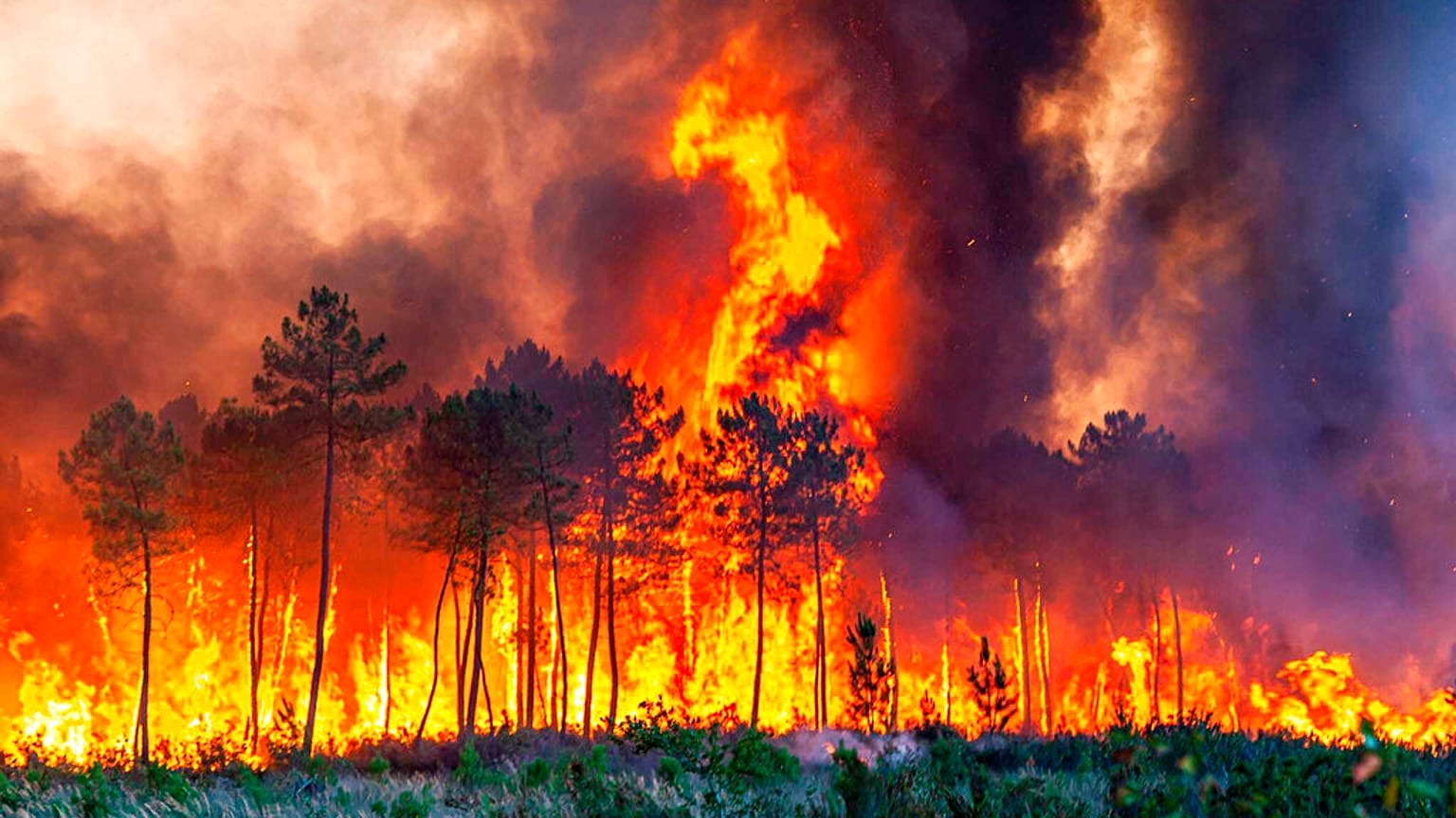 Waldbrand in Westfrankreich bei extremer Dürre und Hitze