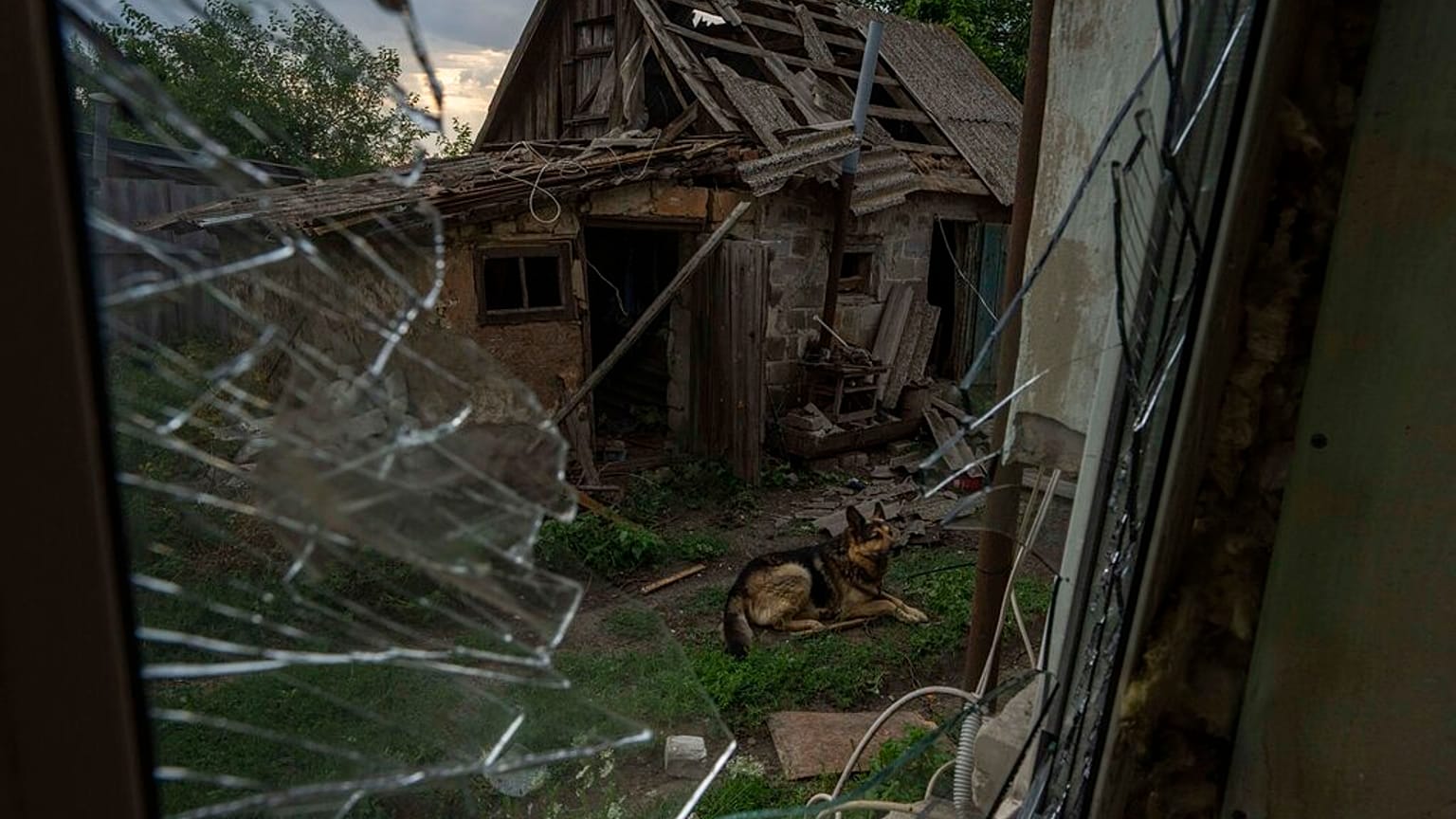 Ein Hund, der durch einen russischen Raketenangriff verletzt wurde, sitzt im beschädigten Hof seiner Besitzer am Rande von Pokrowsk, Ostukraine