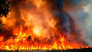 L'incendie près de Landiras, dans le sud-ouest de la France, samedi 16 juillet 2022 .