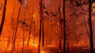Feux de forêt près de Landiras, dans le sud-ouest de la France, dimanche 17 juillet 2022
