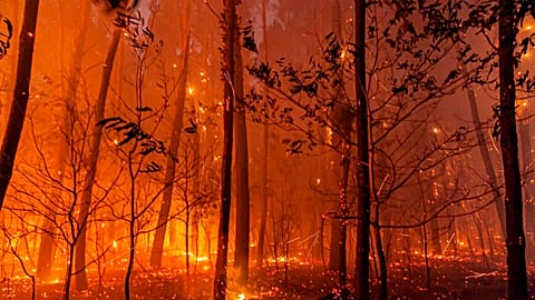 Feux de forêt près de Landiras, dans le sud-ouest de la France, dimanche 17 juillet 2022
