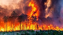 Ein Waldbrand in der Nähe von Landiras, Südwestfrankreich, 17. Juli 2022 