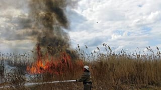 Un travail difficile pour les pompiers.