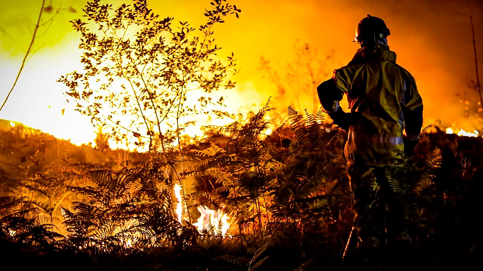 Un pompier face aux flammes en Gironde (19/07/2022)