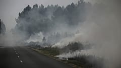 Горит лес в департаменте Жиронда