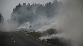 Горит лес в департаменте Жиронда