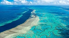 Relatório sobre os ecossistemas na Austrália