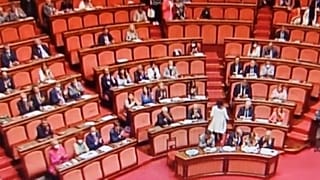 Parlamento italiano