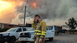 İspanya'nın kuzey batısındaki Losacio bölgesinde çıkan orman yangınının yakınında ağlayan bir itfaiyeci. 