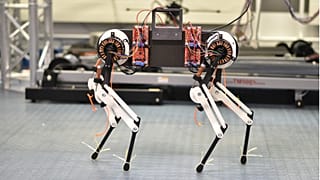 The robot dog that learns to walk
