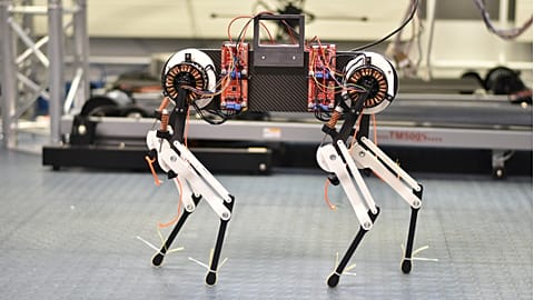 The robot dog that learns to walk